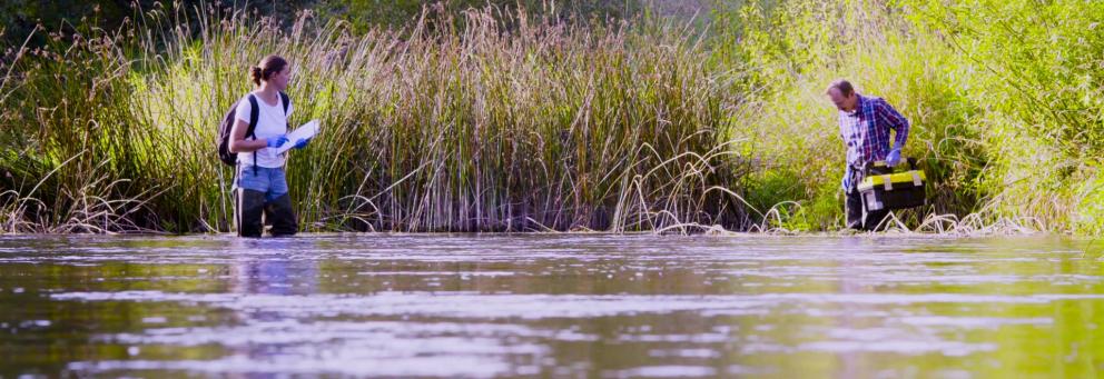 Projets longs de recherche