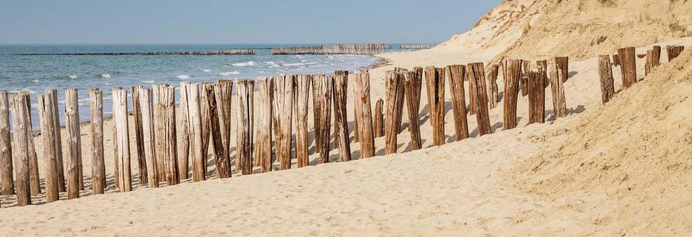 Changements globaux - Pressions, impacts, dynamiques, enjeux