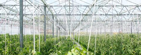 Au potager de Kervoigen, Lannion, France